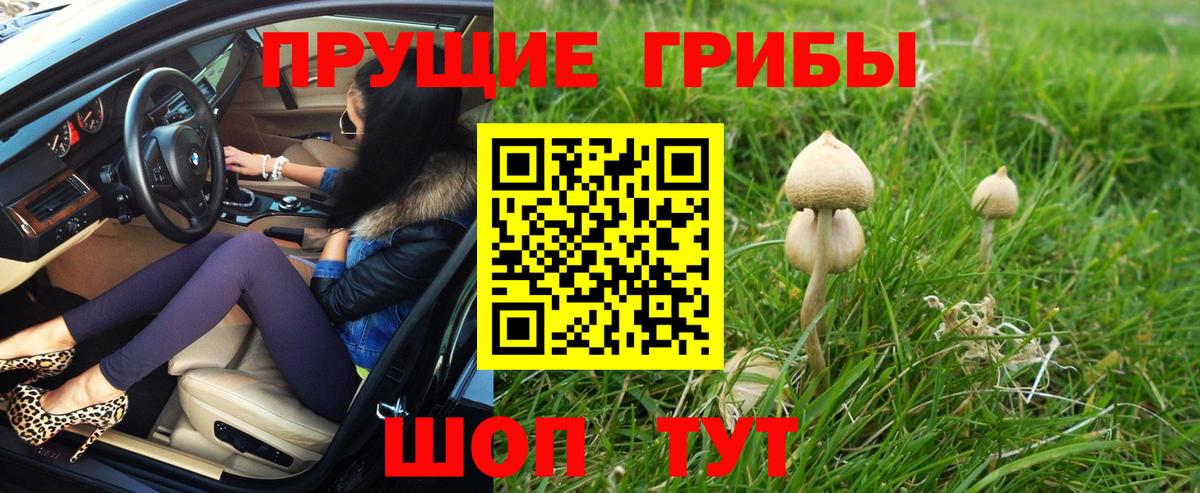 Копейск  Галлюциногенные грибы ЛСД  Вход с VPN  Псилоцибиновые грибы MAGIC MUSHROOMS 